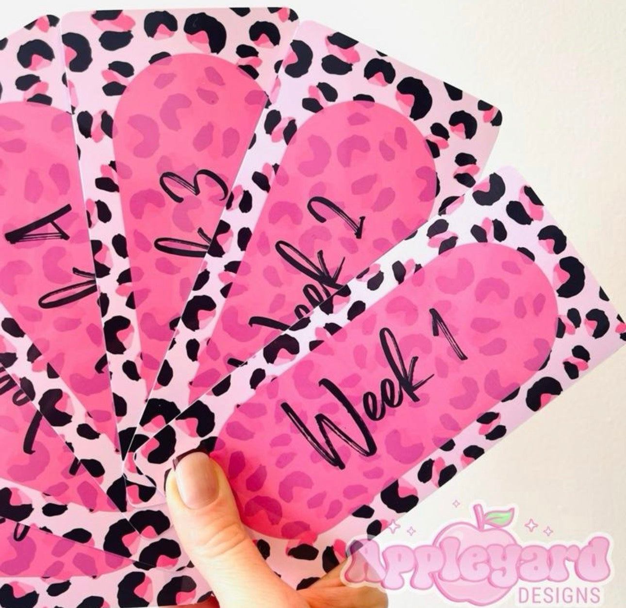Leopard Print Weekly budget inserts
