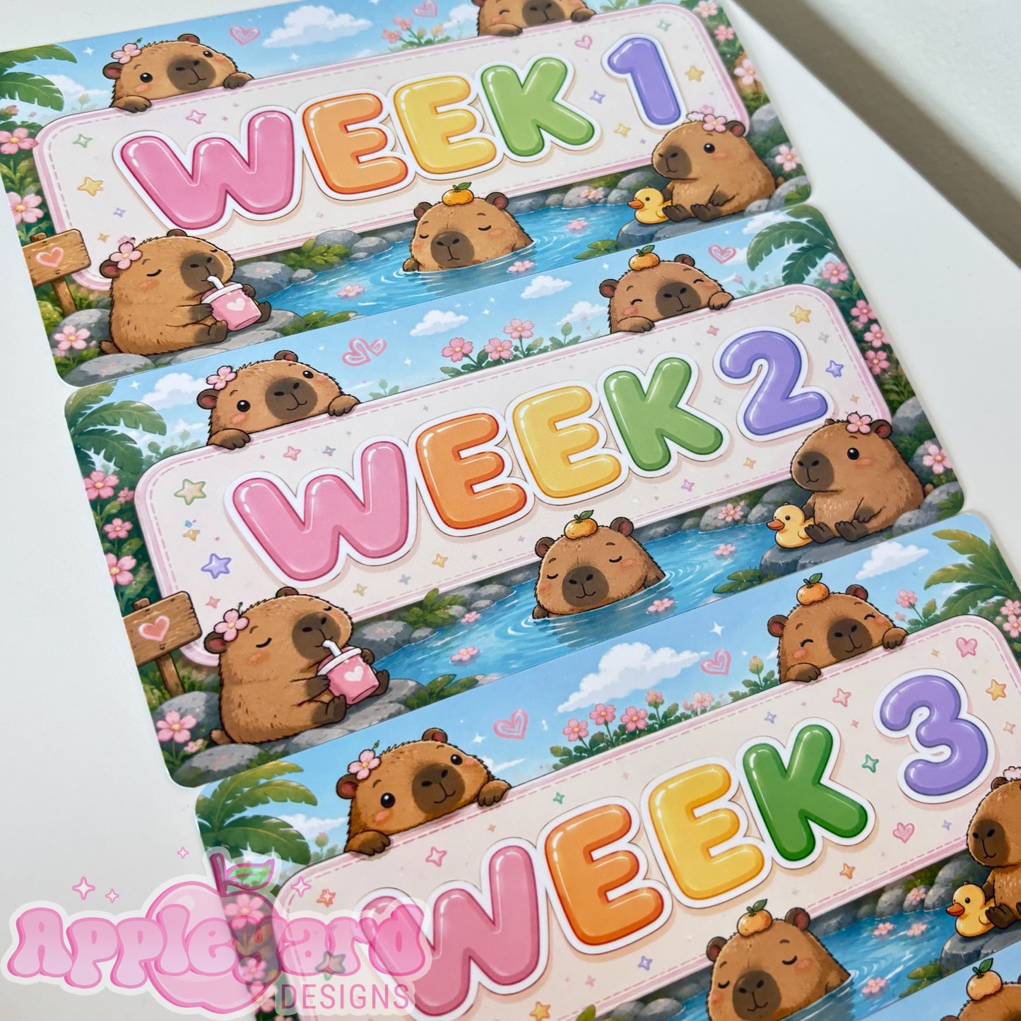 Capybara Weekly budget inserts
