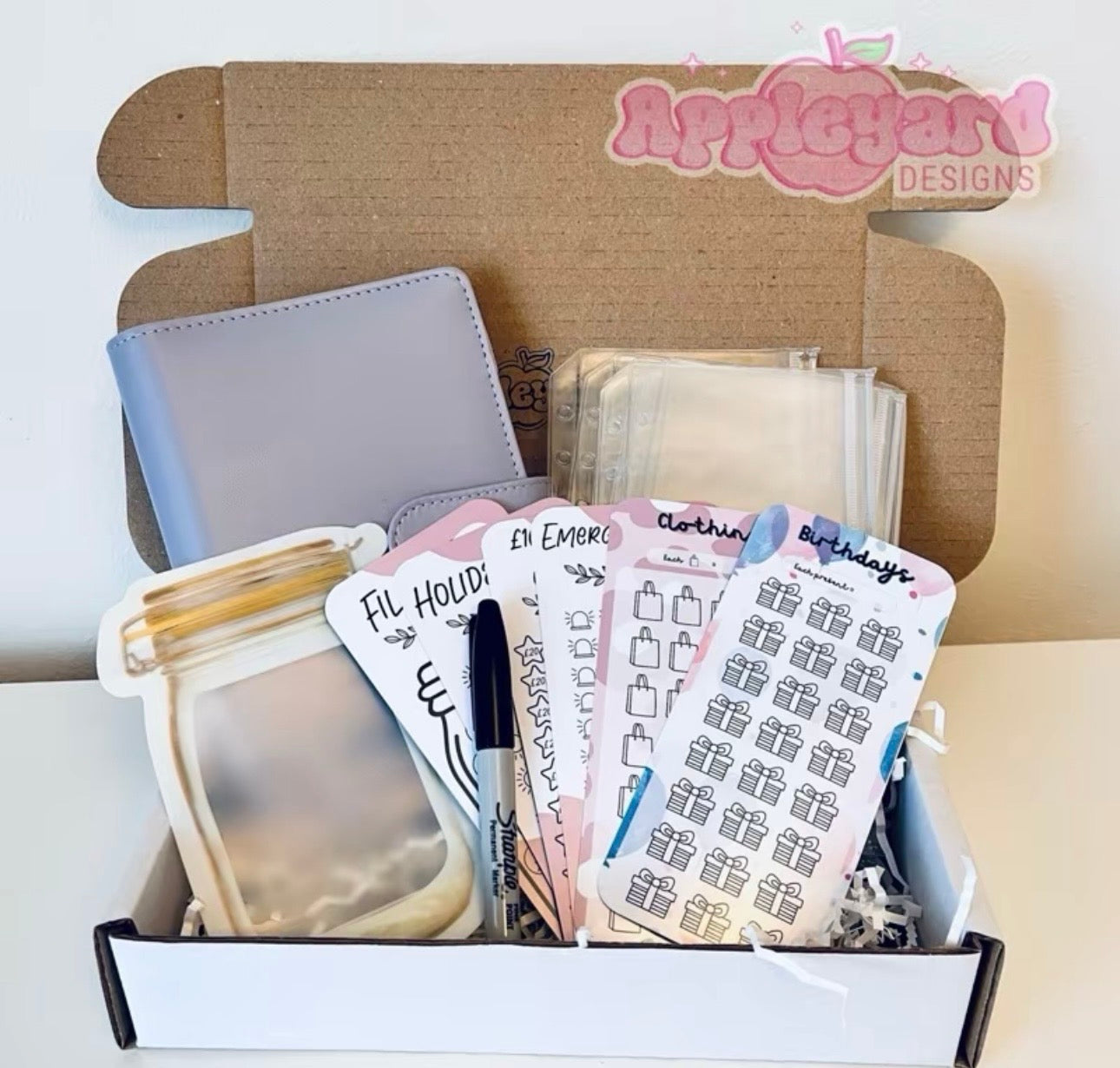 Cash Stuffing Starter Bundle