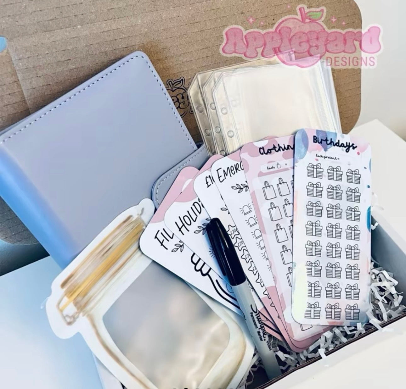 Cash Stuffing Starter Bundle