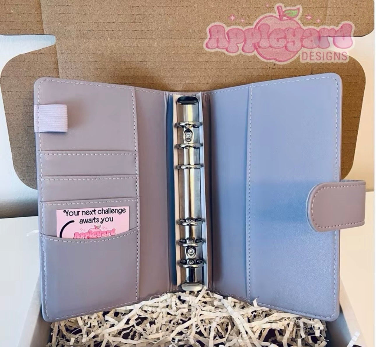 Cash Stuffing Starter Bundle