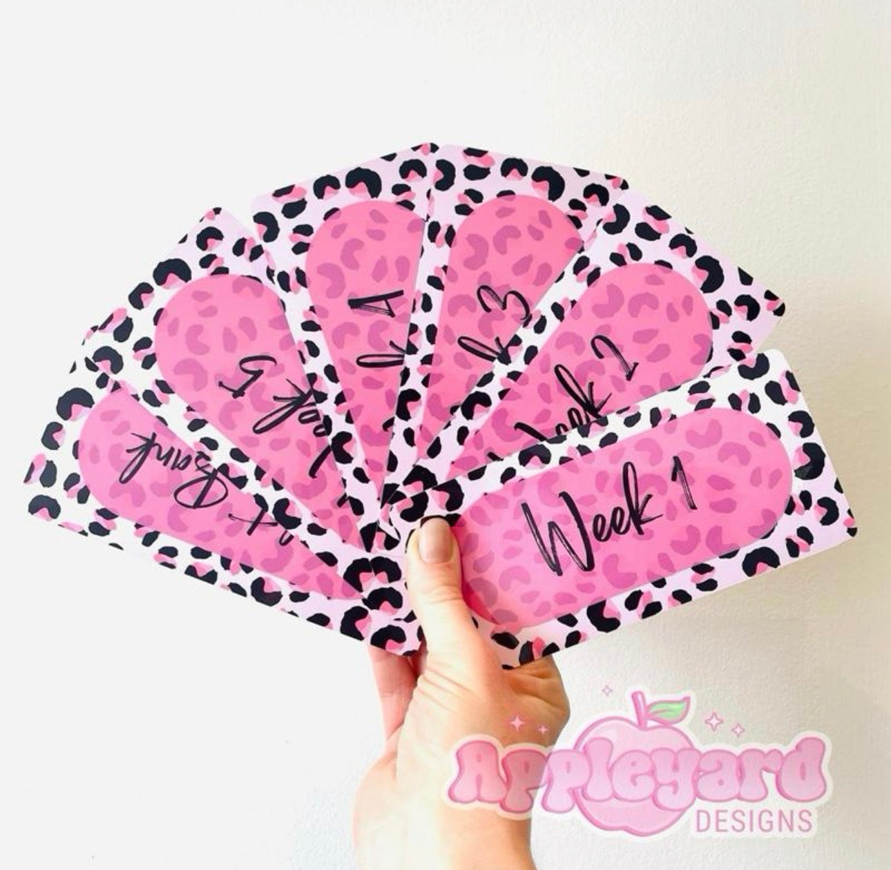 Leopard Print Weekly budget inserts