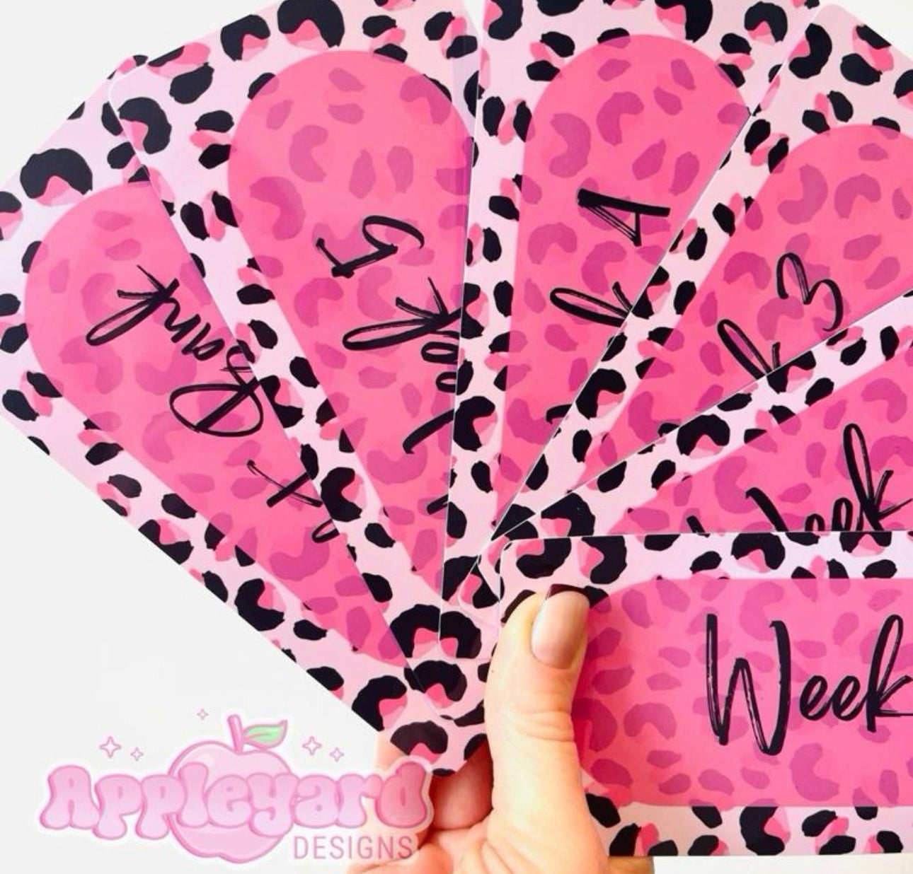Leopard Print Weekly budget inserts