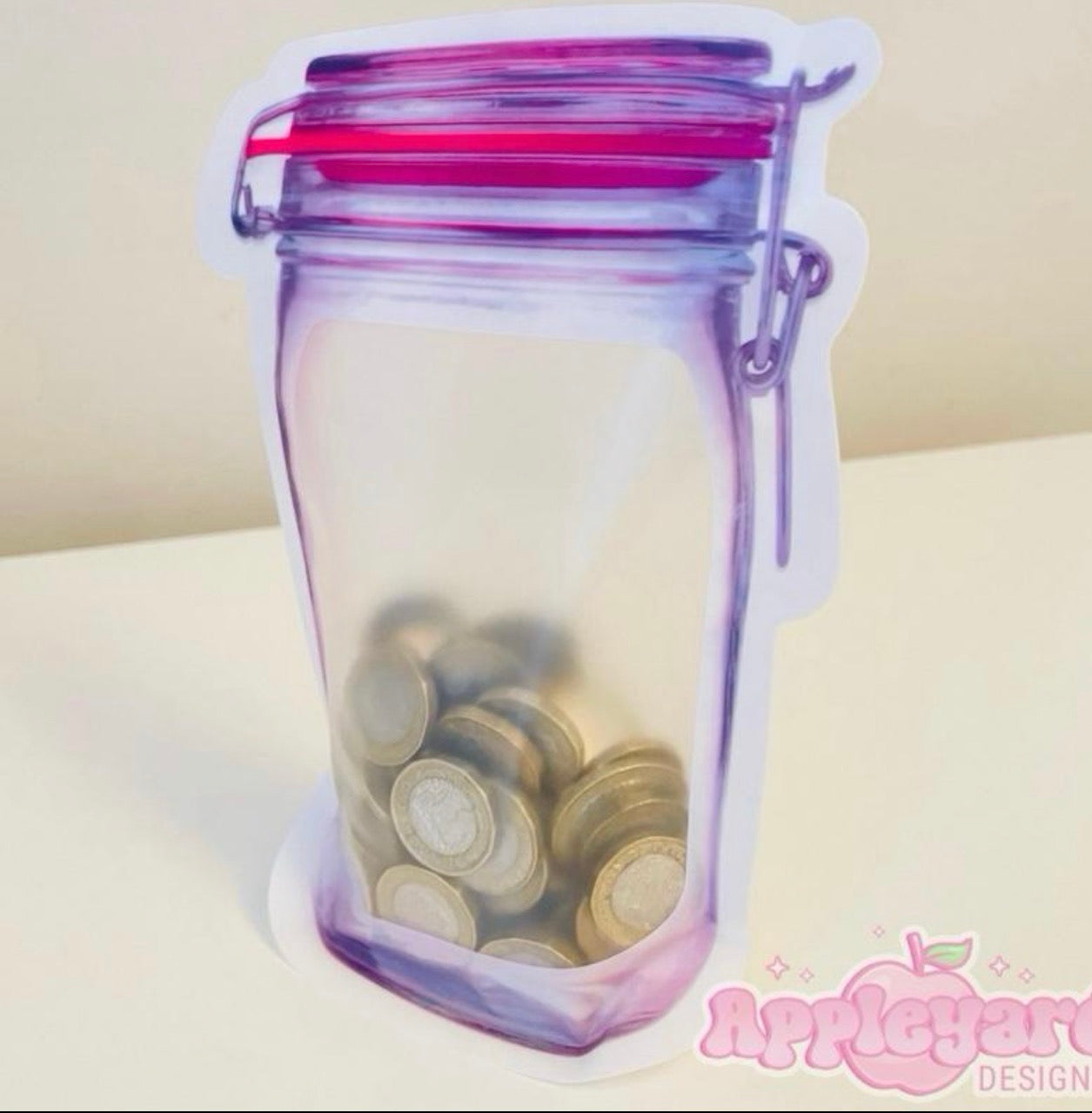 Cash Stuffing Coin Pouch