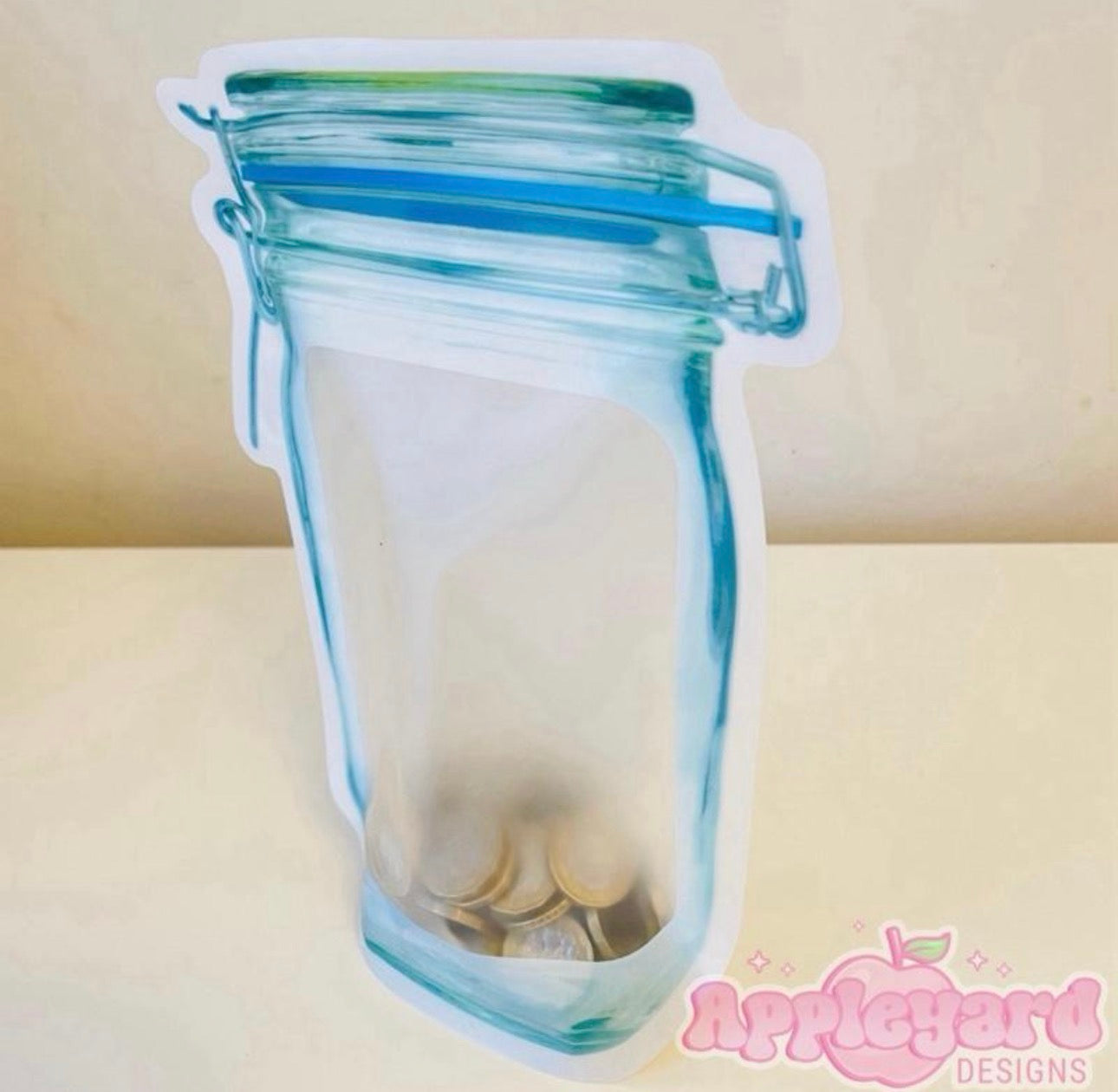 Cash Stuffing Coin Pouch